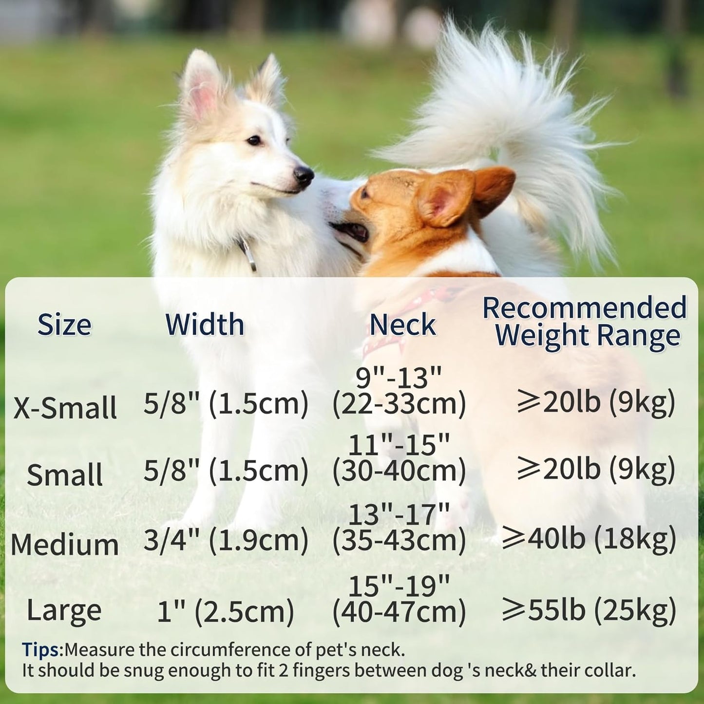 Dog Collar | Nylon Reflective Dog Collars | Light Weight Puppy Collars | Pink Dog Collars for Small Dogs (Solid Pink, X-Small)