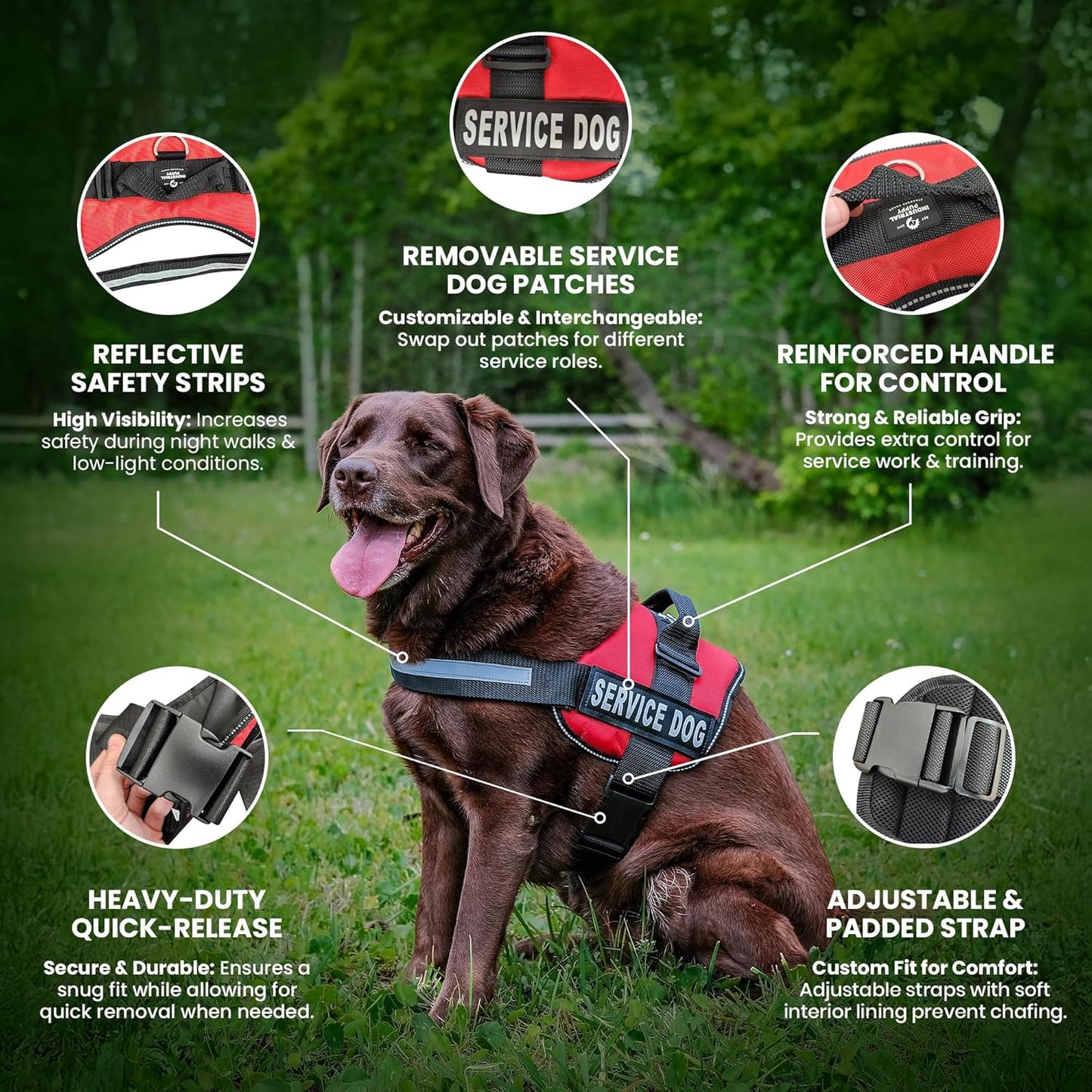 Emotional Support Vest Harness - Durable and Adjustable Dog Vest with Reflective Straps, Removable Patches, Handle & D-Ring, Travel and Daily Use, XXXS 11.5-13" - Bright Red