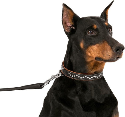 Studded Dog Collar Leather Pet Collars for Dogs Small Medium Large Puppy Soft Padded Brown Black (Brown, Neck Fit 20" - 22")