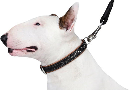 Studded Dog Collar Leather Pet Collars for Dogs Small Medium Large Puppy Soft Padded Brown Black (Brown, Neck Fit 20" - 22")